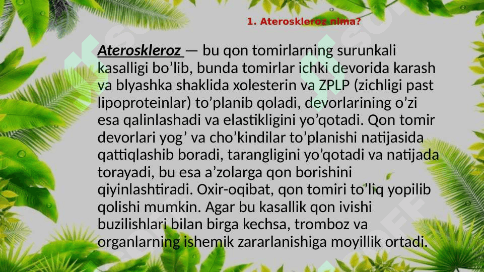 Ateroskleroz 4