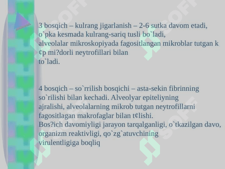 KRUPOZ ZOTILJAM 6