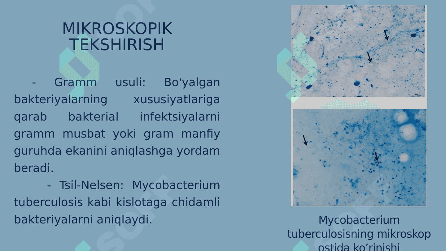 Nafas yo'llari kasalliklarida balg'amni klinik laborator tekshirish usullari 3