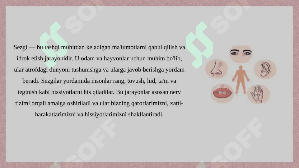 Sezgi haqida tushuncha 2