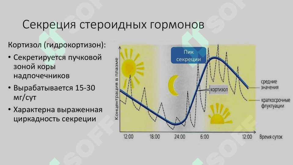 Синдром Кушинга 3