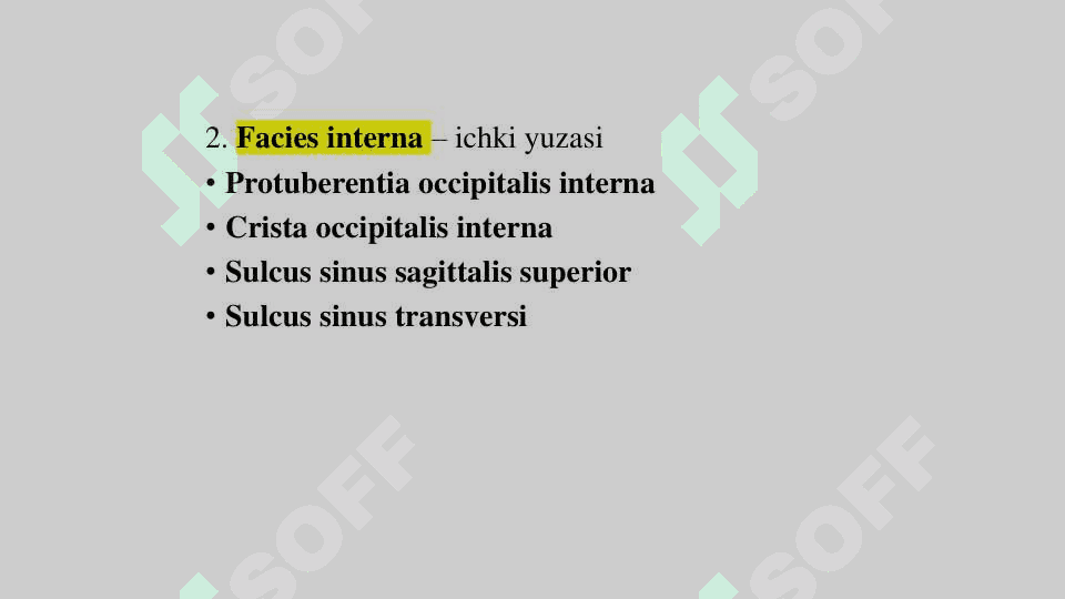 Ensa suyagi (os occipitale) 4