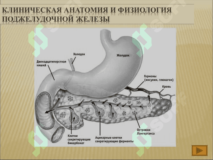 Хронический панкреатит 3