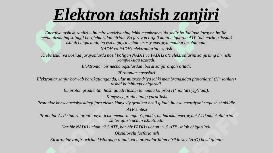 PRIZINTATSIYA 8