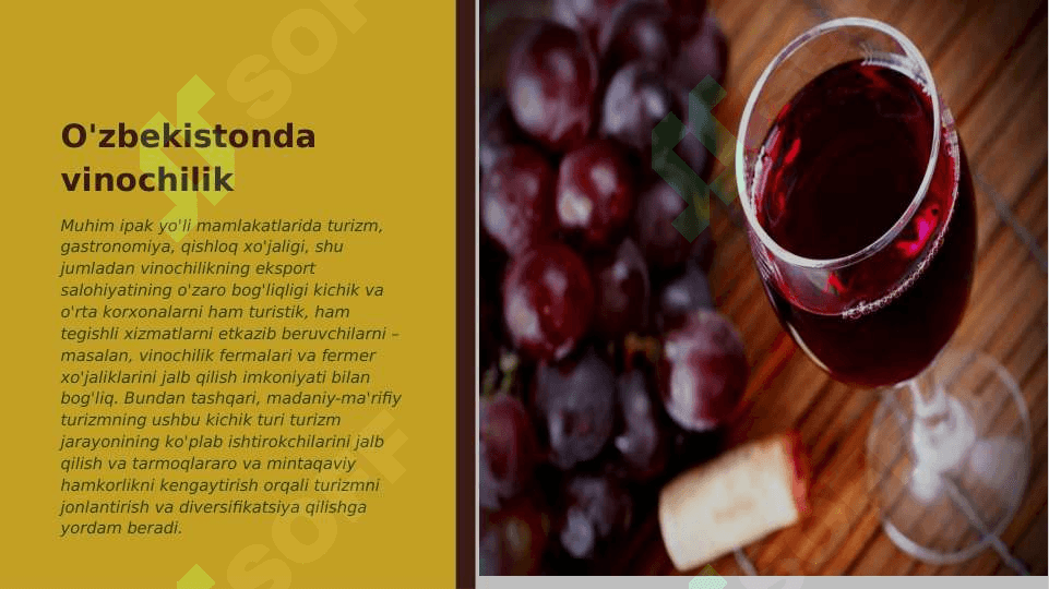 O'zbekistonda turizm 8
