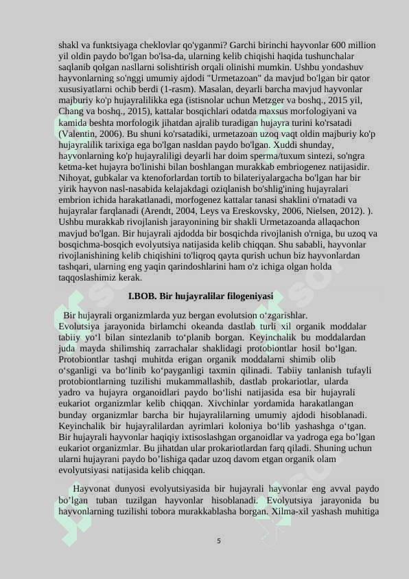 Hayvonot dunyosi evolutsiyasi 4