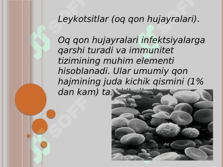 Leykotsitlar turlari
 va funksiyalari. 3