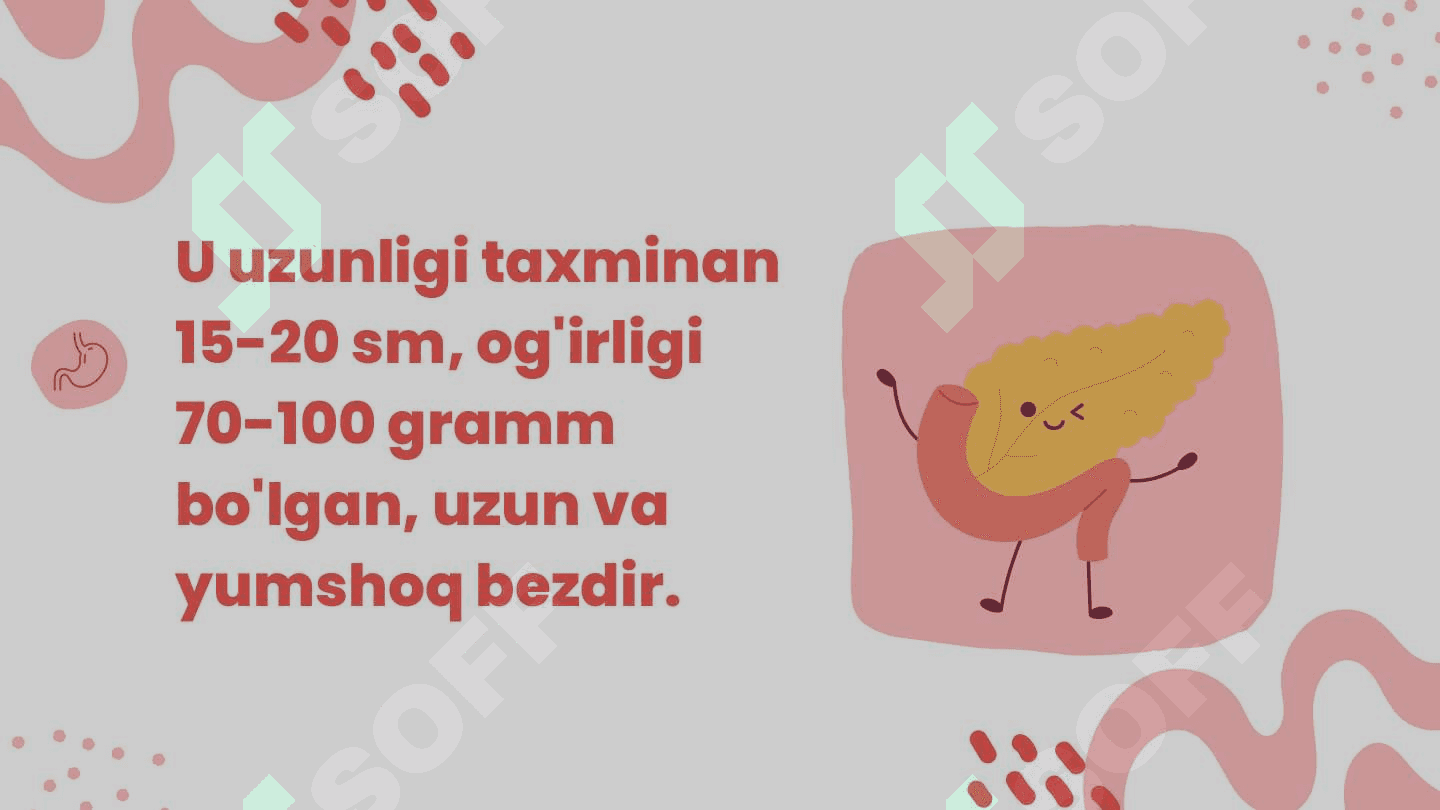 MALAKAVIY AMALIYOT HUJJATLARI jild 4