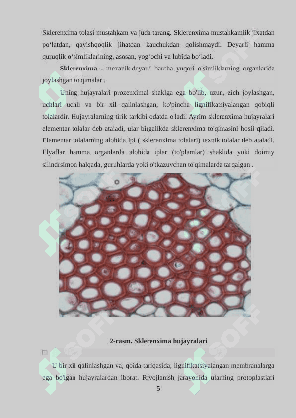 To’qima MEXABIK.docx 5
