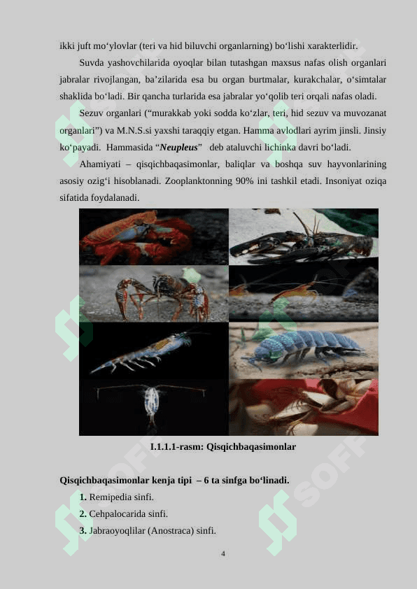 qisqich baqa (2).doc 4