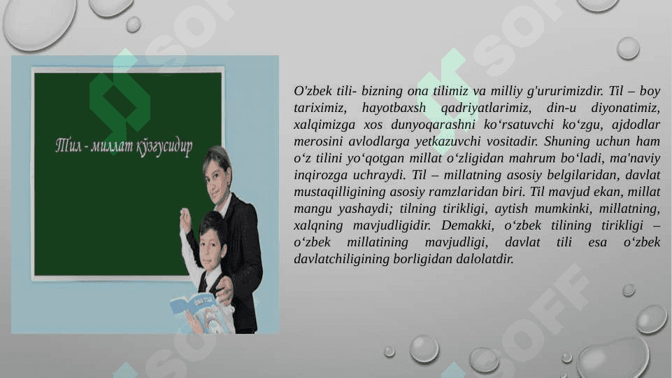 Til (TAQDIMOT) 3