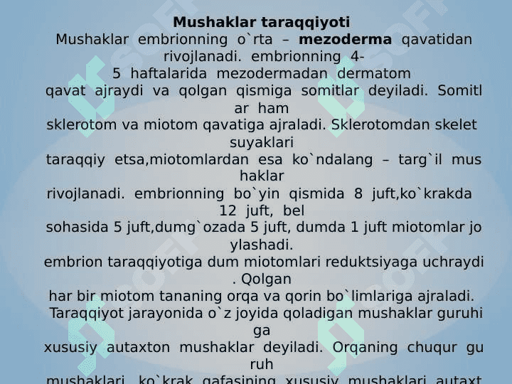 MUSHAKLAR 4