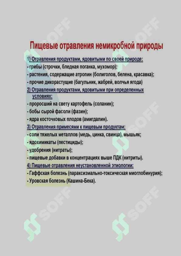 Гигиена 4