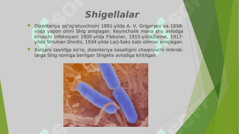 Shigellyoz va Salmonellez 2
