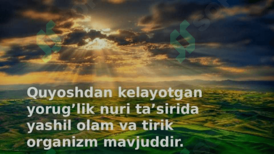 TABIIY YORUG’LIK 4