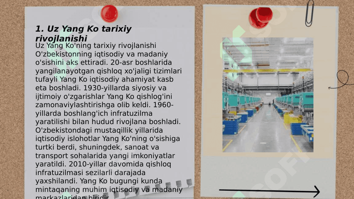 UZ YANG KO 3