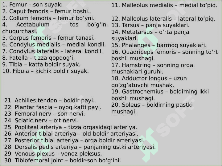 OYOQNING KILINIK ANATOMIYASI 2