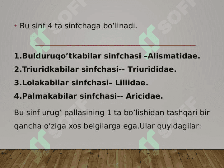 Loladoshlar oilasi 3