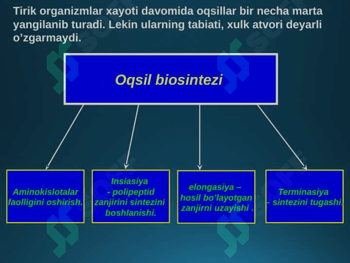 OQSIL BIOSINTEZI 3