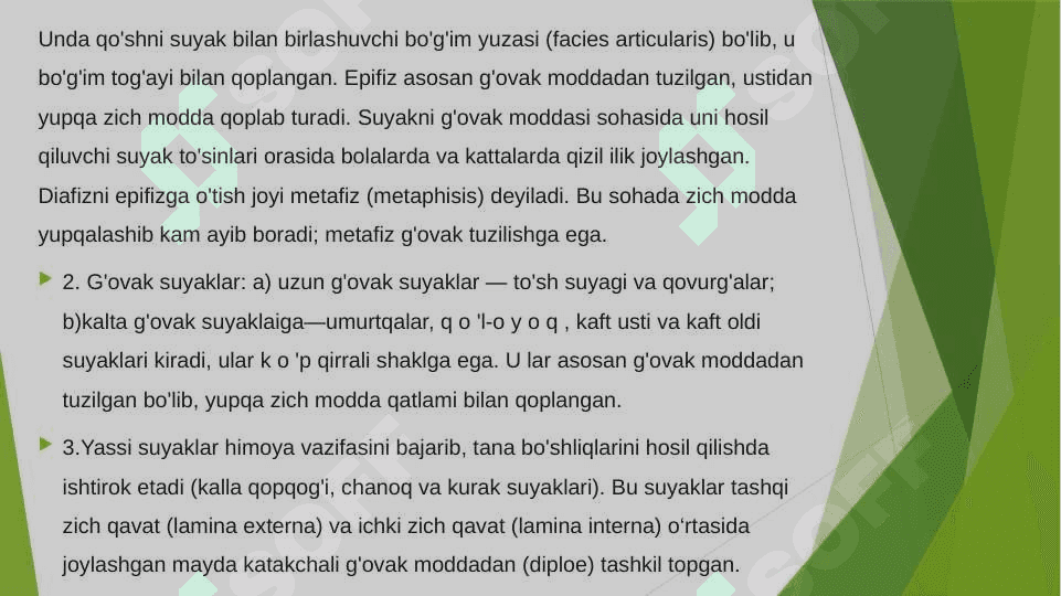 Suyaklar 6