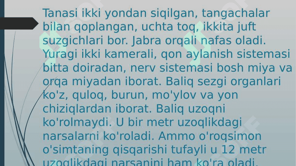 Karpsimon baliqlar sistematikasi 5