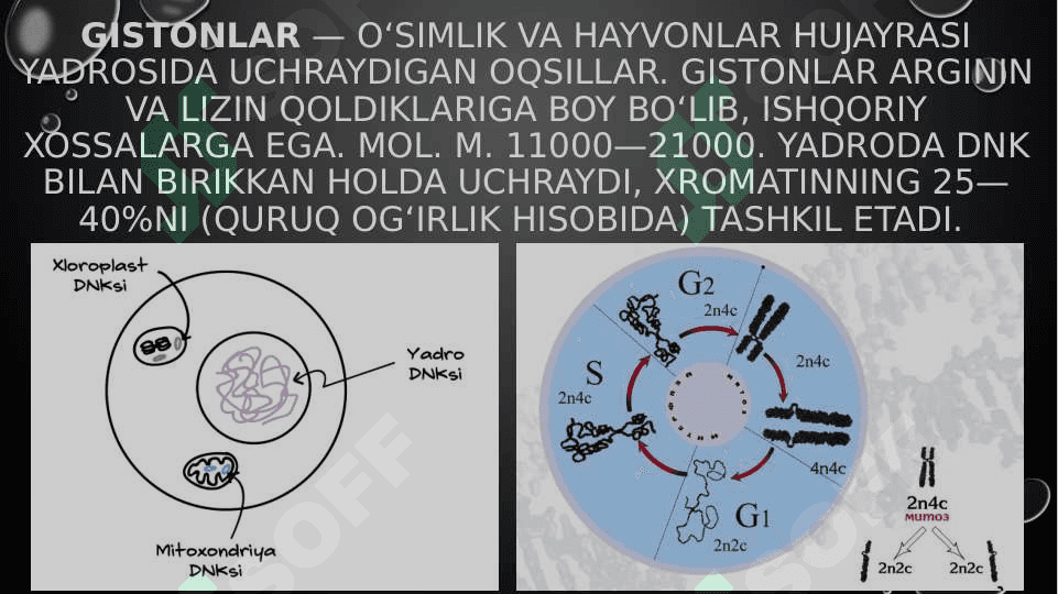 Metilspetsifik PZR gistonlarni modifikatsiyalash turlari 2