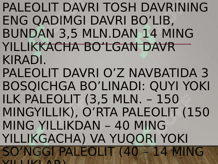Paleolit davri 5