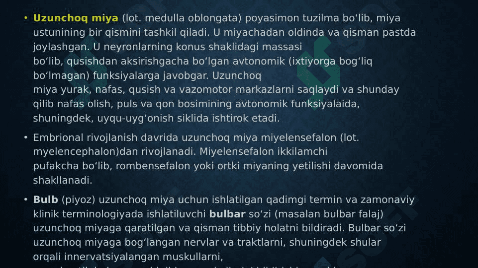Uzunchoq miya, o‘rta miya va miya ko‘prigi 2