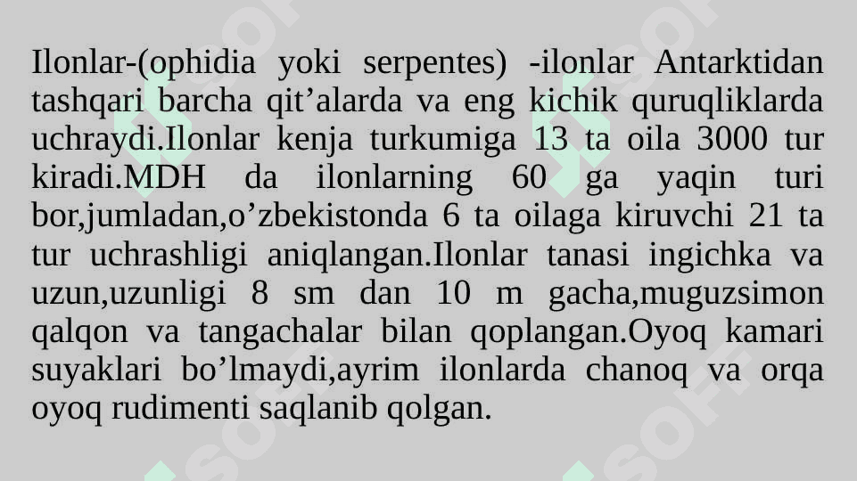 Ilonlarning tuzilishi,hayot kechirishi  Reja: 1.Ilonlar tashqi tuzilishi haqida 2.Ilonlarning ichki tuzilishi haqida 3.Ilonlarning xilma-xilligi 3