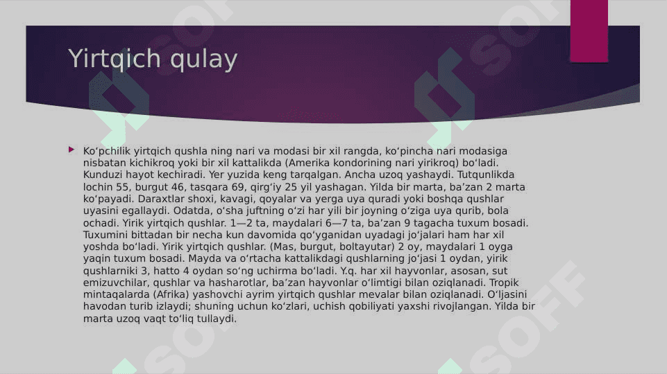 YIRTQICH QUSHLAR 4
