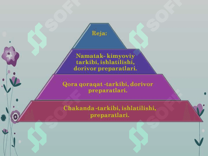 Dorivor o'simliklar 2