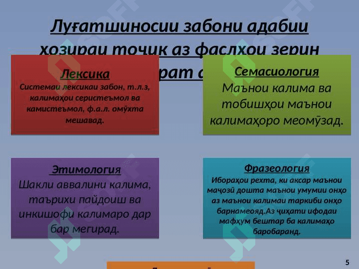 Лексикология 5