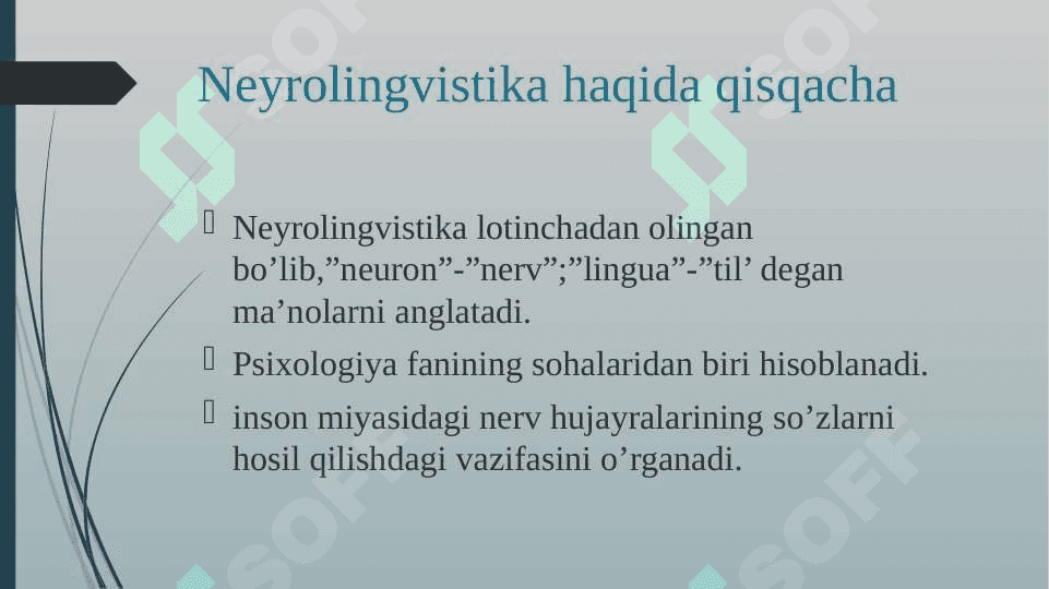 Neyrolingvistika 3