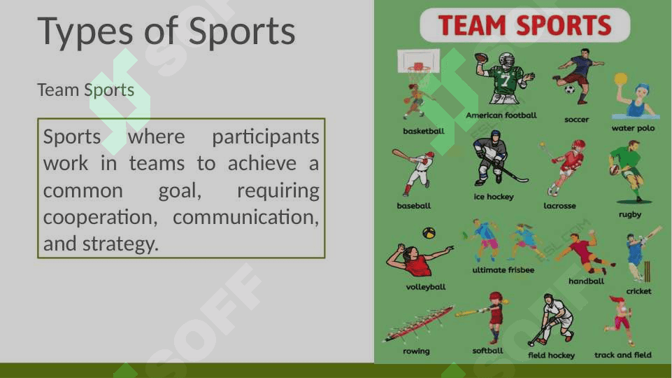 Sport and Leisure 4