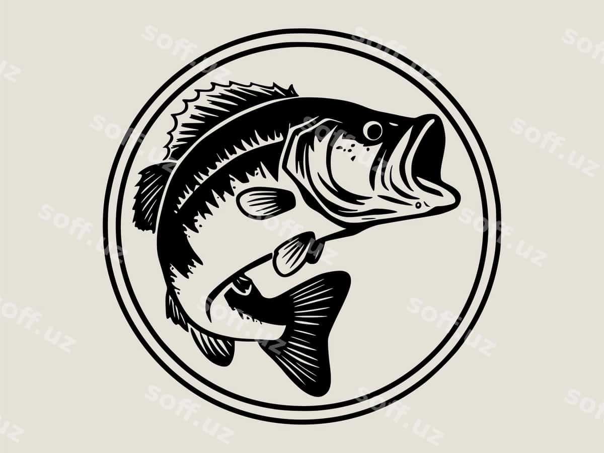 Baliq boshi baliq o'rtasi bilan | Fish head with fish middle 1