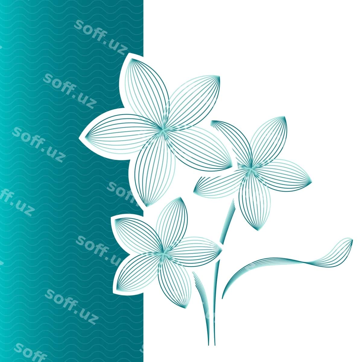 Gul tabrigi ko'k-yashil rangda | Flower greeting card bluegreen 1