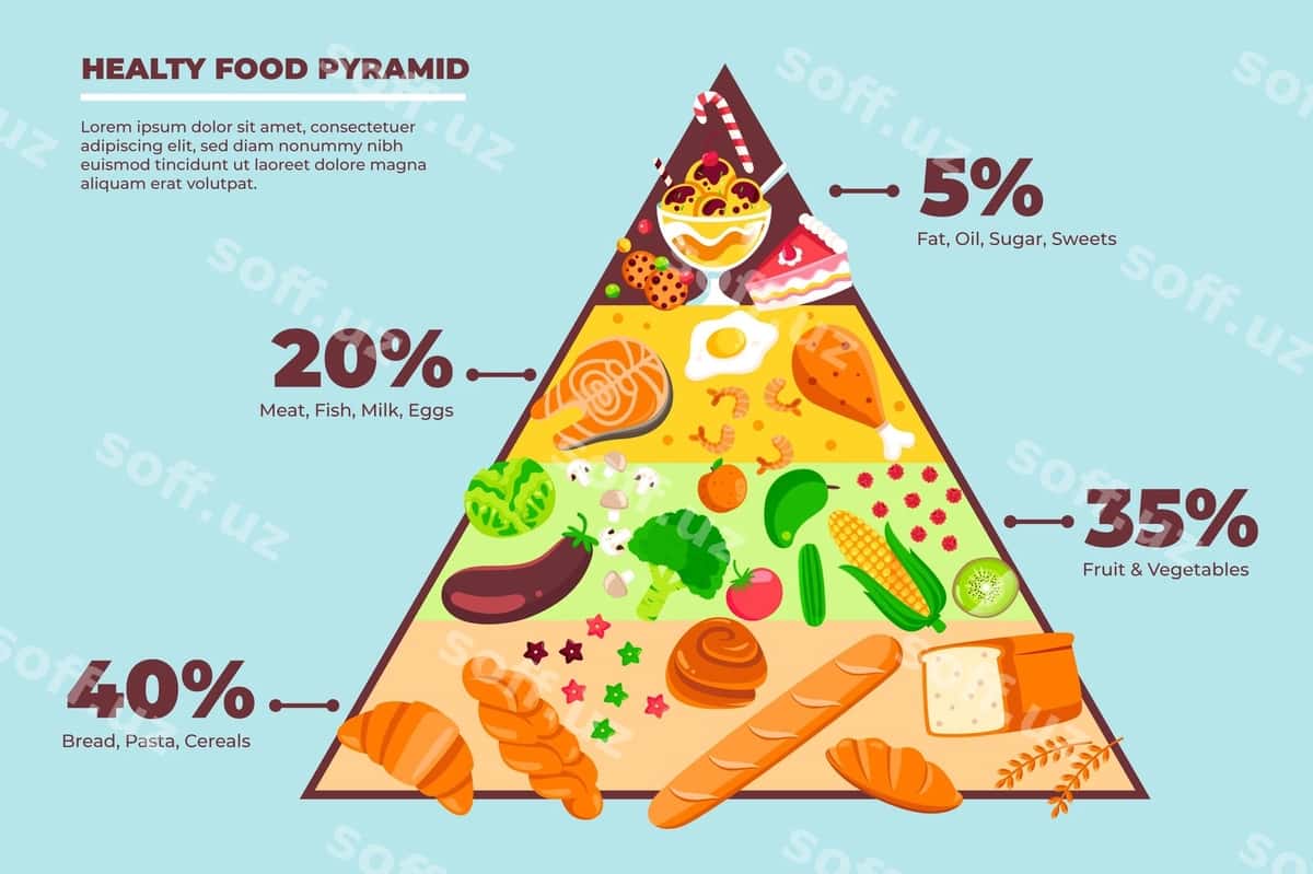 Ovqat piramidasi ovqatlanish konsepsiyasi | Food pyramid nutrition concept 1