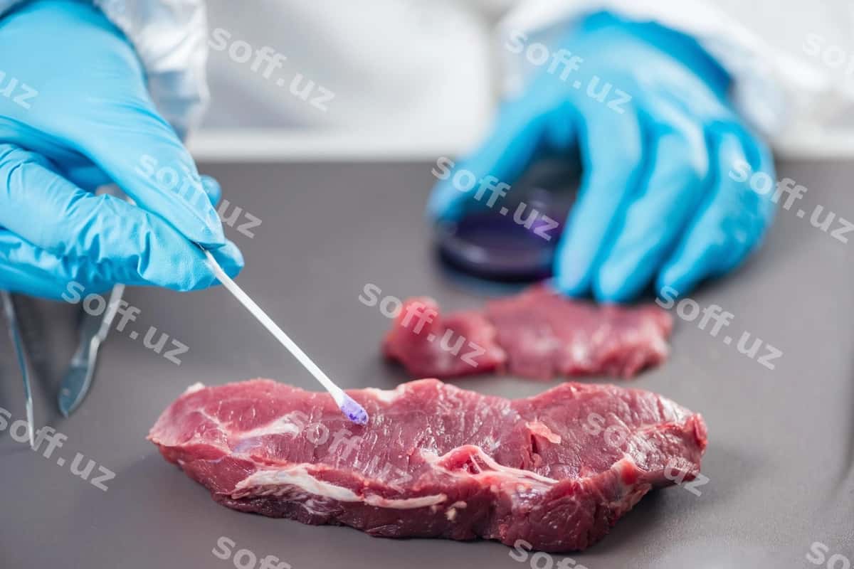 Ovqat xavfsizligi | Food safety 1