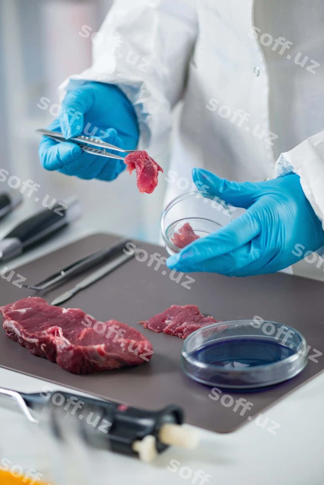 Ovqat xavfsizligi | Food safety 1