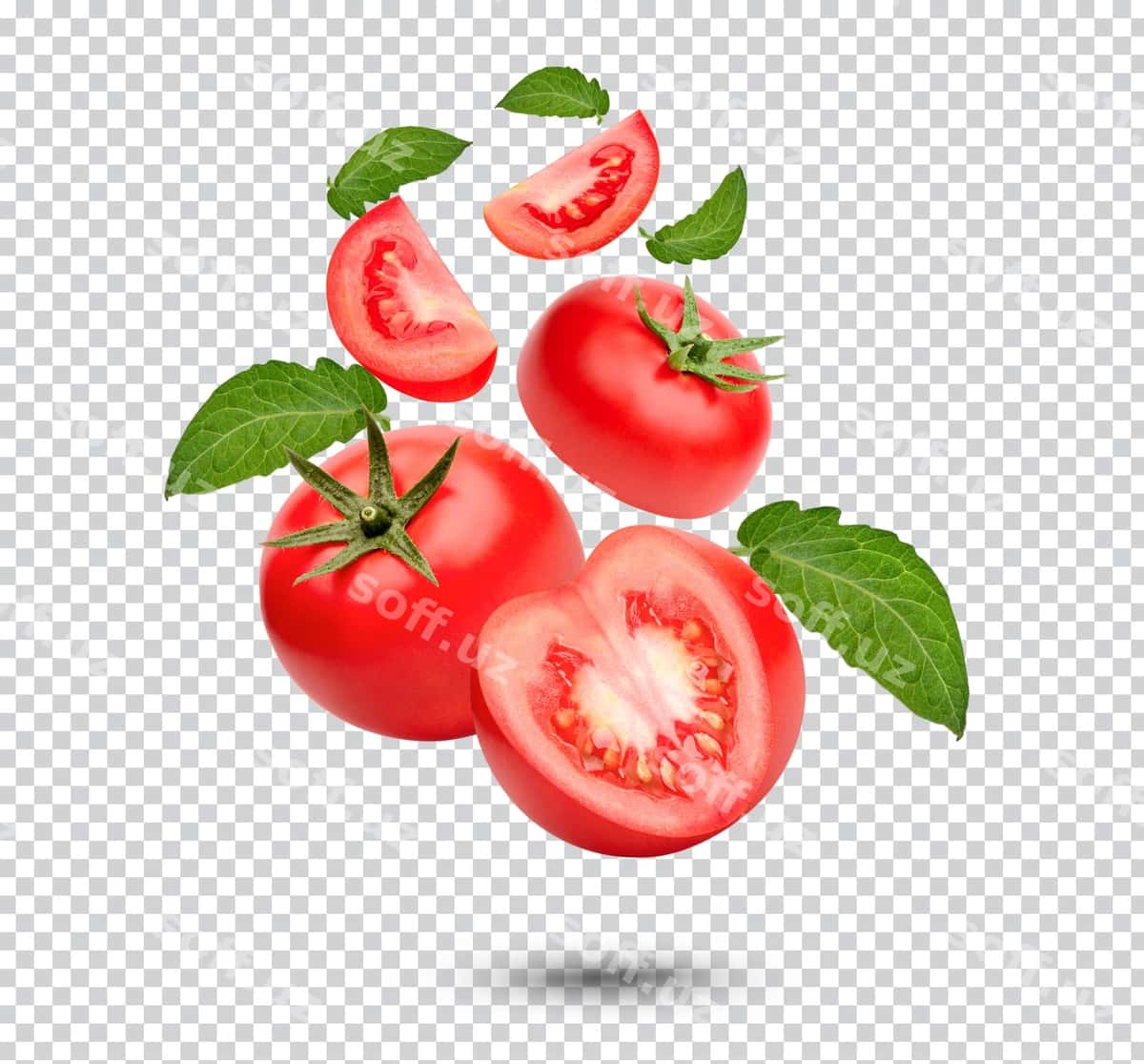 Yangi pomidorlar bilan barglar ajratilgan | Fresh tomatoes with leaves isolated 1