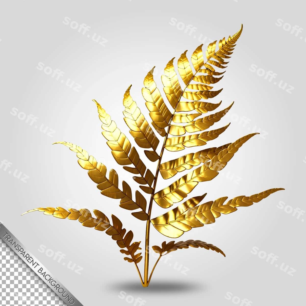 Oltin paprak yaproq shaffof orqa fonda | Gold fern leaf transparent background 1