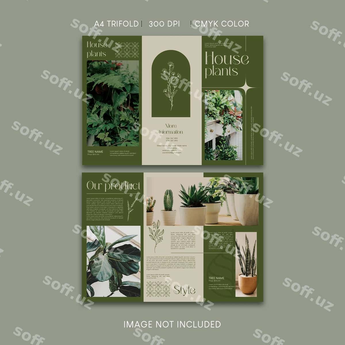 Uy shohar ekintlari do'koni uchun uch qirra broshyurasi | House plant shop trifold brochure 1