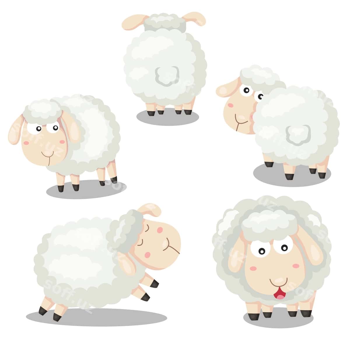 Illustrator qoy gulbishik multfil'm | Illustrator sheep funny cartoon 1