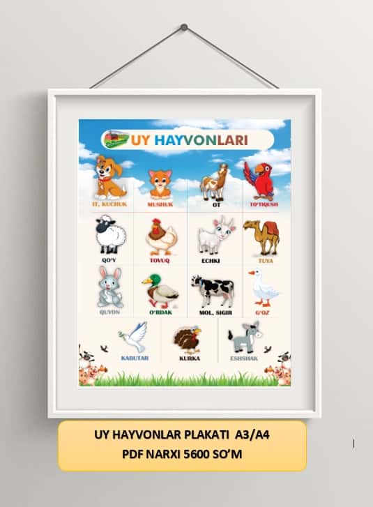 UY HAYVONLARI PLAKATI 1