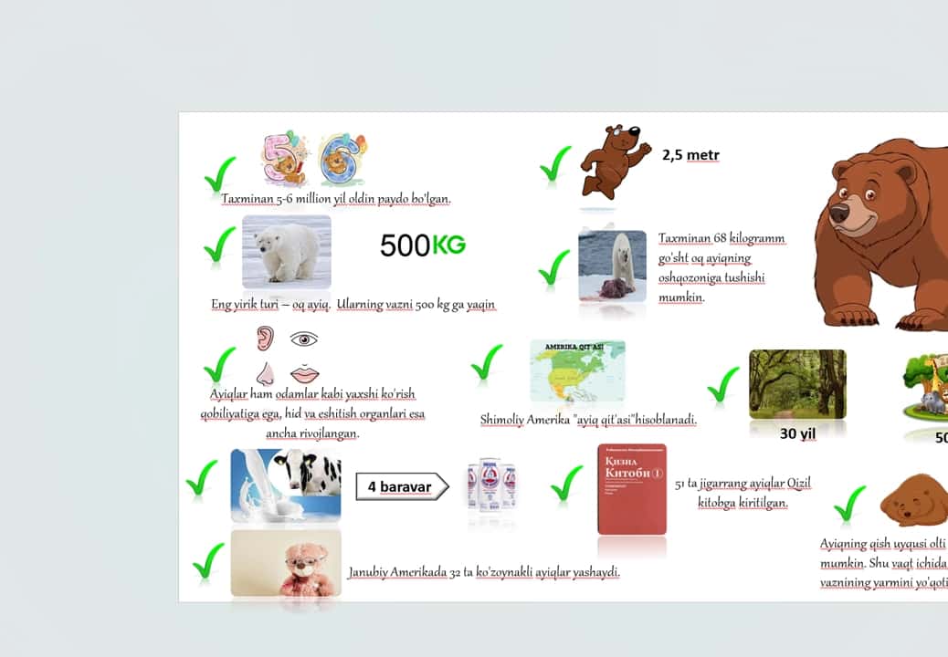 Ayiq haqida infografiya 1