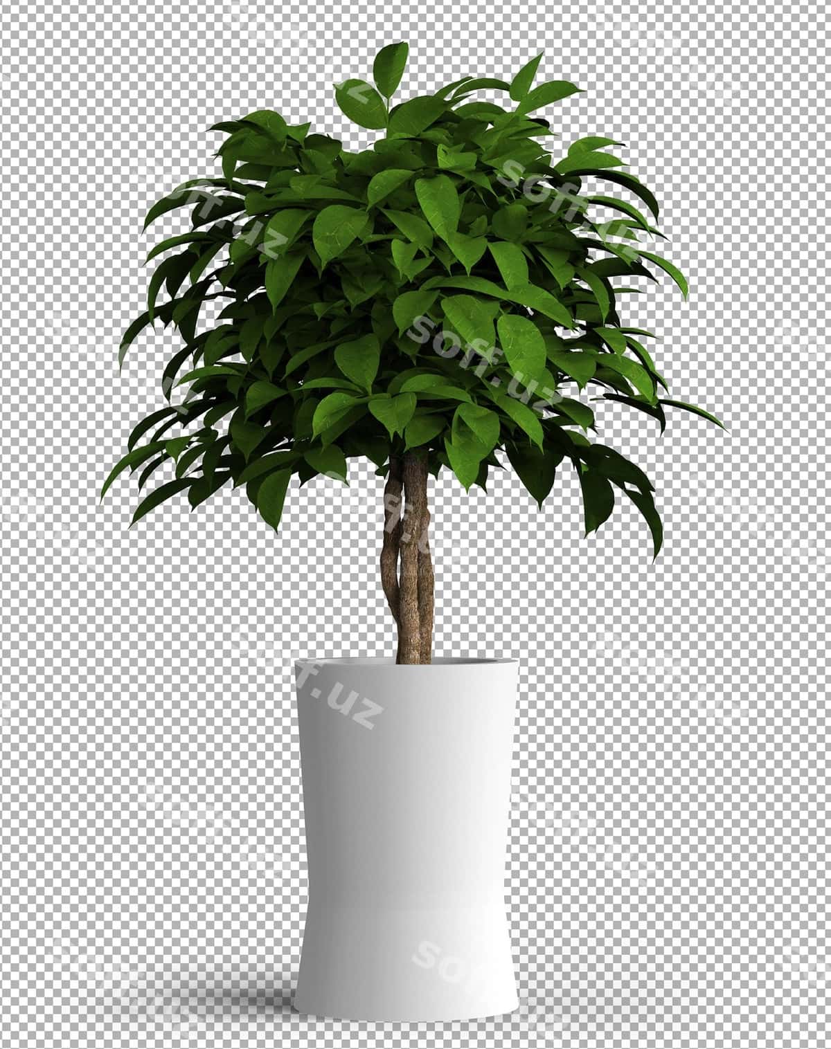 Ajraltirilgan o'simlik qozon | Isolated plant pot 1