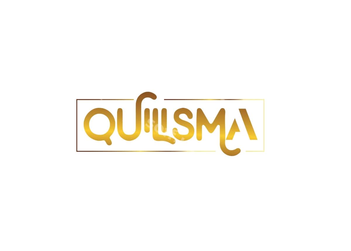 Zamonaviy kvilizma logotipi dizayni | Modern quilisma logo design 1