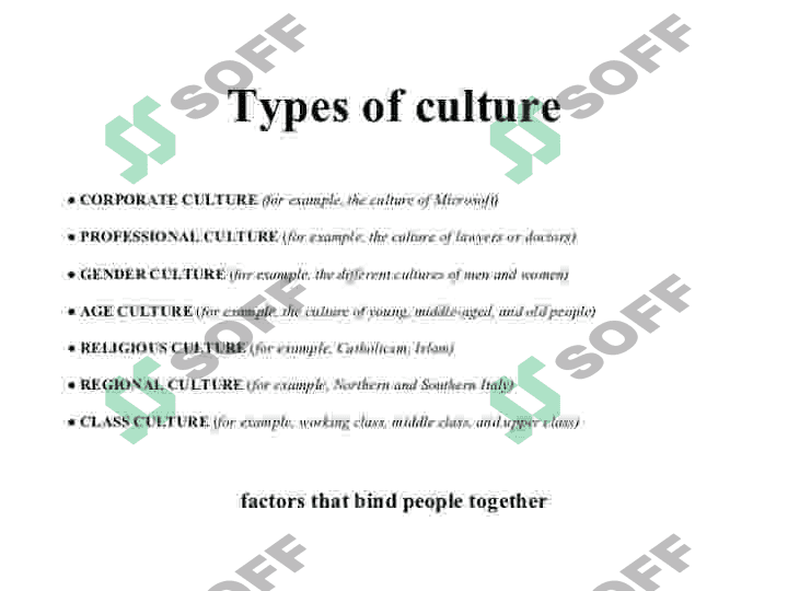 Culture 6