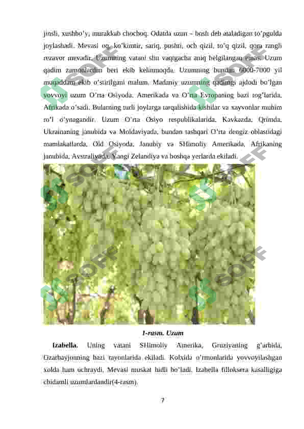 toknamolar qabilasi 7