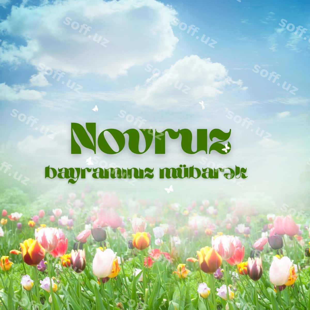 Novruz bayrami | Novruz holiday 1